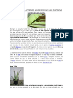 Lectura Especies Aloe Vera