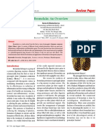 Bromelain An Overview