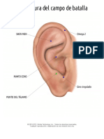 039 Acupuntura Del Campo de Batalla Derecha