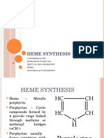 Heme Synthesis