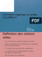 Comment Organiser Un Projet CLIL/EMILE?