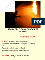 Teoria Del Fuego