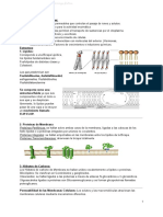 Biologia Celular Resumen Final PDF