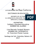 Informe de Lectura Calidad y Equidad