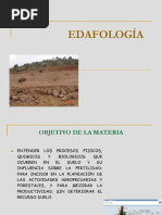 EDAFOLOGÍA