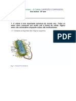 Ficha de Exercicios Celula Corrigida