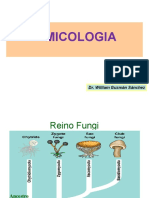 9na Sem. Micología