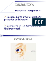 Anatomía y Fisiología de Conjuntiva