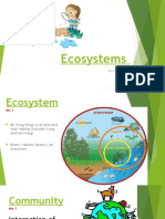 Ecosystems: Key Vocabulary 5 Grade Team Time