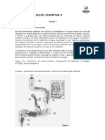 Ficha de Avaliação 2 Descobrir A Terra 9