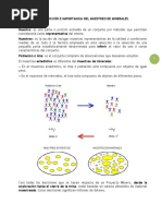 Introducción Al Muestreo de Minerales 1