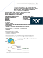 Resumen Sistema Nervioso Embriologia