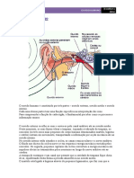 Ouvido PDF