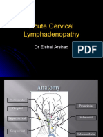 Cervical Lymphadenopathy