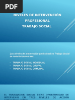 Niveles de Intervención Profesional Trabajo Social 