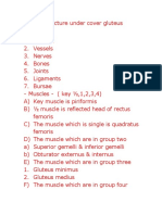 Describe Structure Under Cover Gluteus Maximus