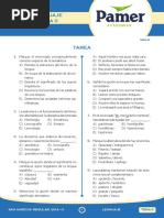 Lenguaje PDF