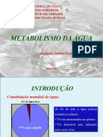 Metabolismo Da Água