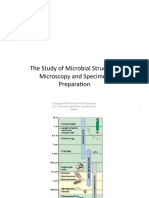 The Study of Microbial Structure: Microscopy and Specimen Preparation