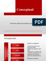 Marco Conceptual NIIF