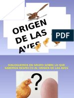 Origen de Las Aves