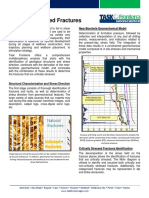 Critically Stressed Fractures Flyer TFG