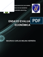 Evaluacion Economica Ensayo