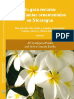 Ornamentales PDF