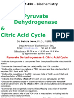 PDH Complex and TCA Cycle