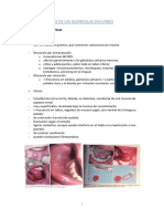 Tumores Glándulas Salivares