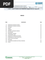 LTCAT SAAE - Revisão - Atalizada-OK PDF