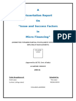 Dissertation Report On Issue and Success Factors in Micro Financing