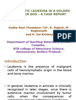 Lymphocytic Leukemia in A Golden Retriever Dog - A Case Report