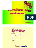 Épithélium de Revêtement