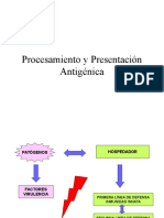 2 - Procesamiento y Presentacion Antigenica