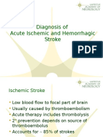 Diagnosis of Acute Ischemic and Hemorrhagic Stroke