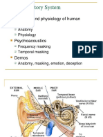 Human Hearing