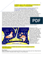 Diffusion in The Extracellular Space - Mechanism of Extrasynaptic Transmission