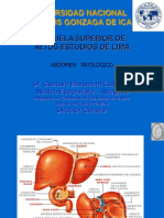 Patologia de Higado