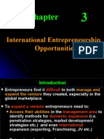 International Entrepreneurship Opportunities: Mcgraw-Hill/Irwin Entrepreneurship, 7/E