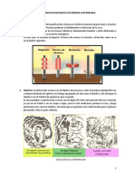 Perforacion en Mineria Subterranea-Geemin