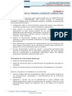 Semana 3 - Entrevista en La Terapia Cognitivo Conductual