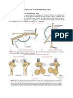 Kinesiology of Knee Joint