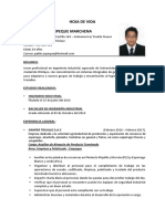 CV PDF