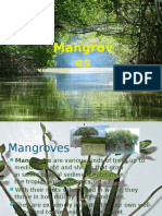 Mangrov Es: Jijo Johnson B140947PE