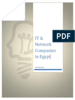 It Network Companies in Egypt