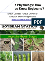 Soybean Physiology. PURDUE PDF