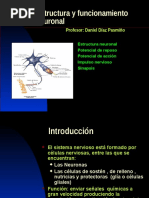 Estructura y Funcionamiento Neuronal - Pps