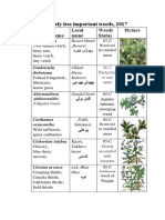 02 Less Important Cropland Weeds