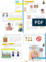 Sistema Respiratorio